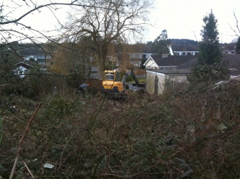 Initial Clearance (Day 1)