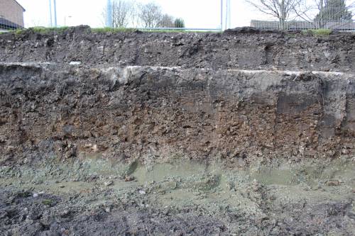 Clearly showing the 'green sand' base